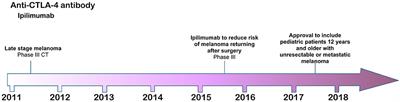 On the Road to Immunotherapy—Prospects for Treating Head and Neck Cancers With Checkpoint Inhibitor Antibodies